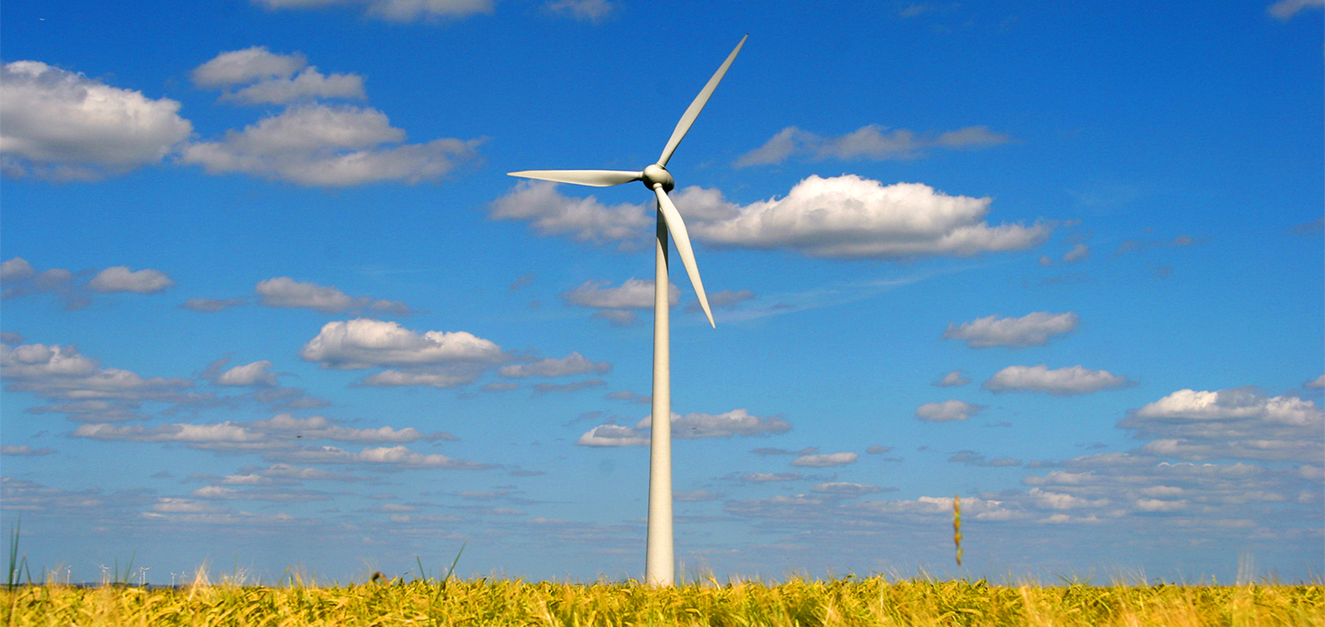 Waalwijk_CO2_vrij_klimaat_windenergie_windmolen
